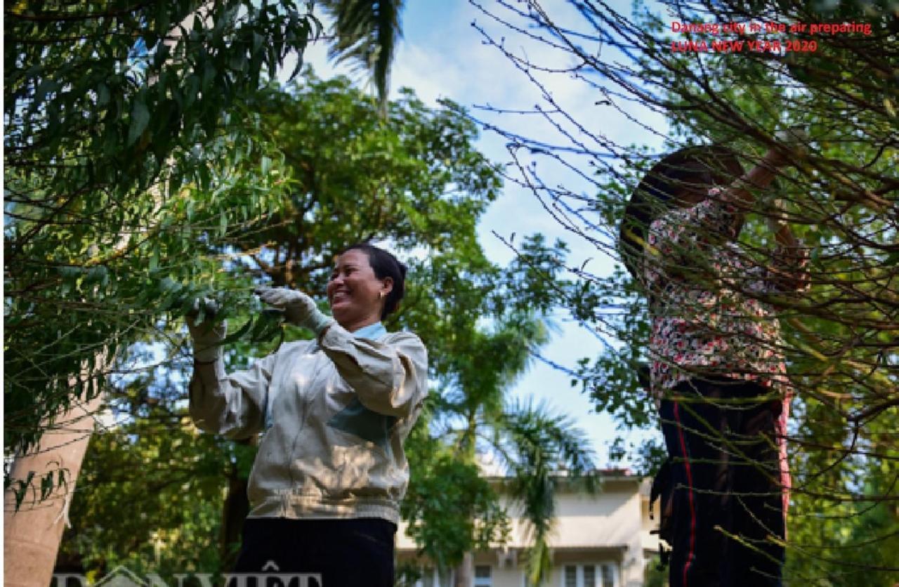 Da Nang Minh Hai Екстер'єр фото